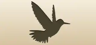 Hummingbird