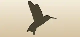 Hummingbird