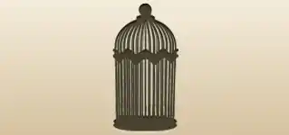 Birdcage