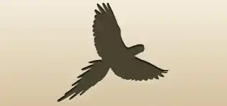 Parrot