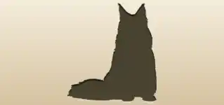 Maine Coon Cat