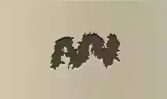Feather Boa