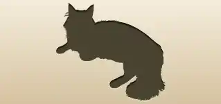 Maine Coon Cat