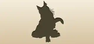Maine Coon Cat