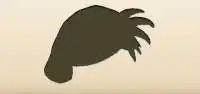 Beret silhouette