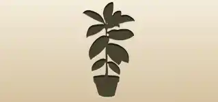 Houseplant silhouette