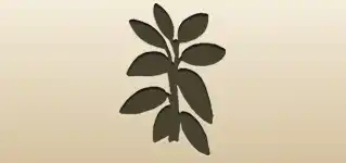 Houseplant silhouette