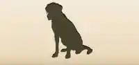 猟犬