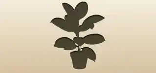 Houseplant silhouette