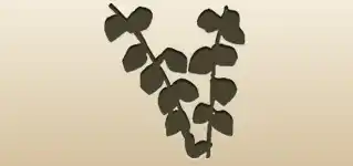 Physalis silhouette