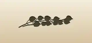 Physalis silhouette
