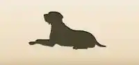 猟犬