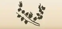 Physalis silhouette