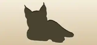 オオヤマネコ