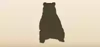 ヒグマ