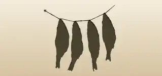 魚の干物