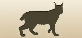 オオヤマネコ