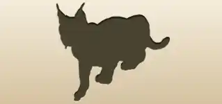 オオヤマネコ