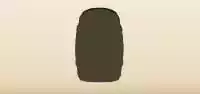 たる
