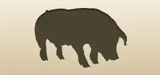 ブタ