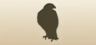 ハヤブサ