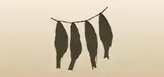 魚の干物