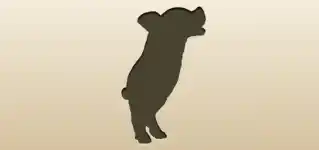 ブタ