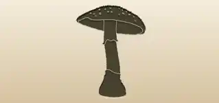 Fly Agaric Mushroom