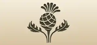 アザミ