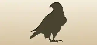 ハヤブサ