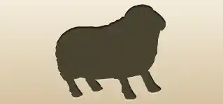 羊
