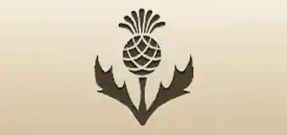 アザミ