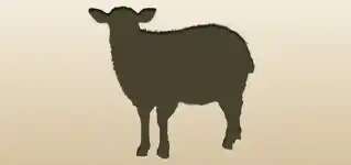 羊