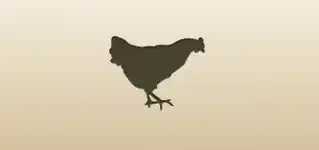 Hen