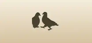 Pigeons
