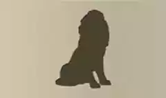 ライオン