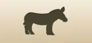 Donkey