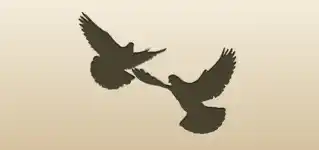 Pigeons