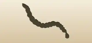 Braided Hair