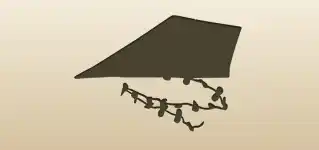 Kite