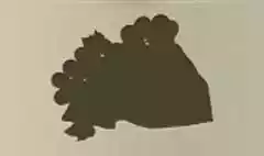 ブドウ