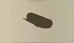 新聞