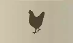 ニワトリ
