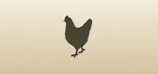 Hen