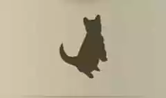 ネコ