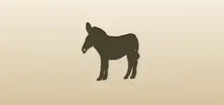 Donkey