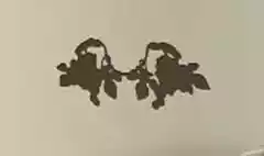 ブドウ