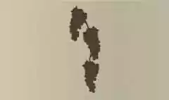 ブドウ