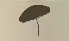 日傘