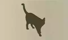 ネコ